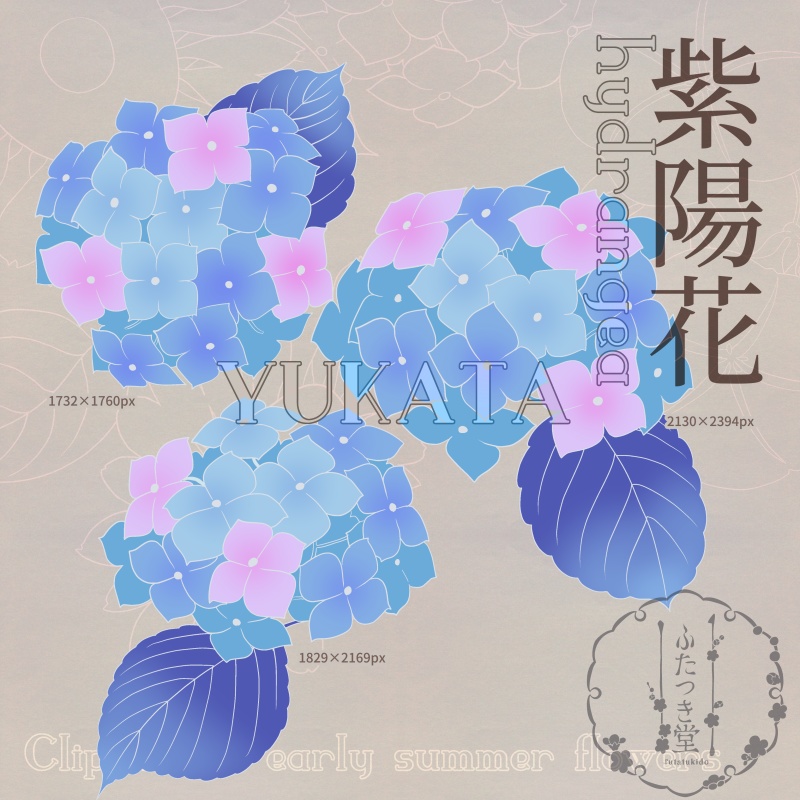 初夏の花カットイラスト