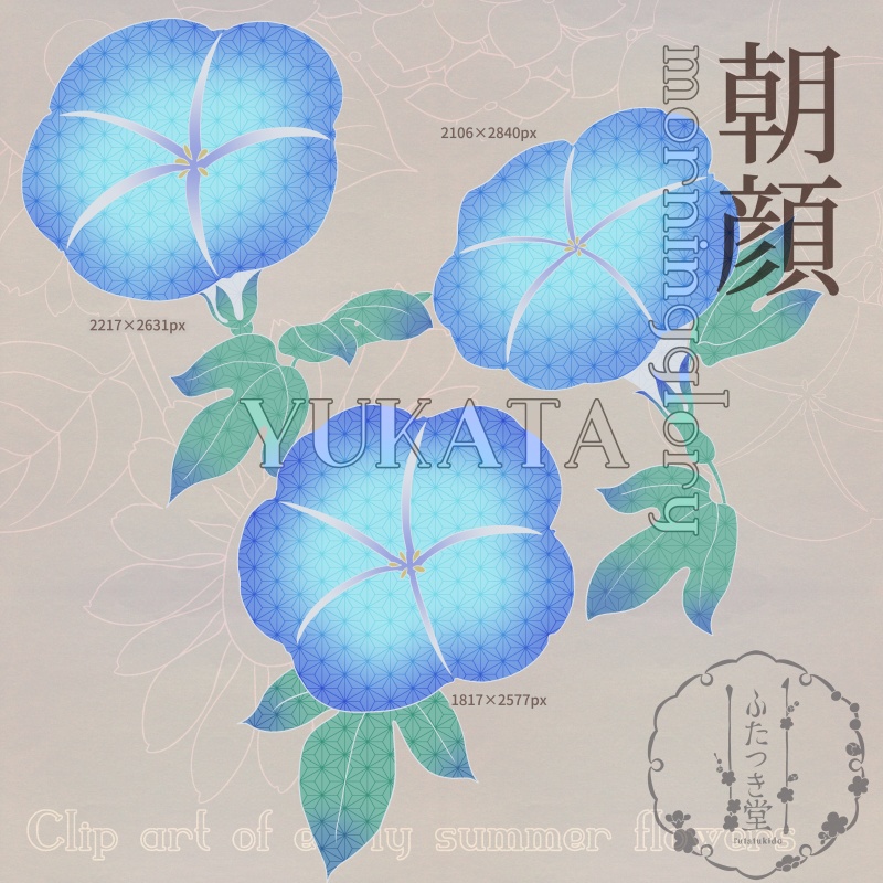 初夏の花カットイラスト