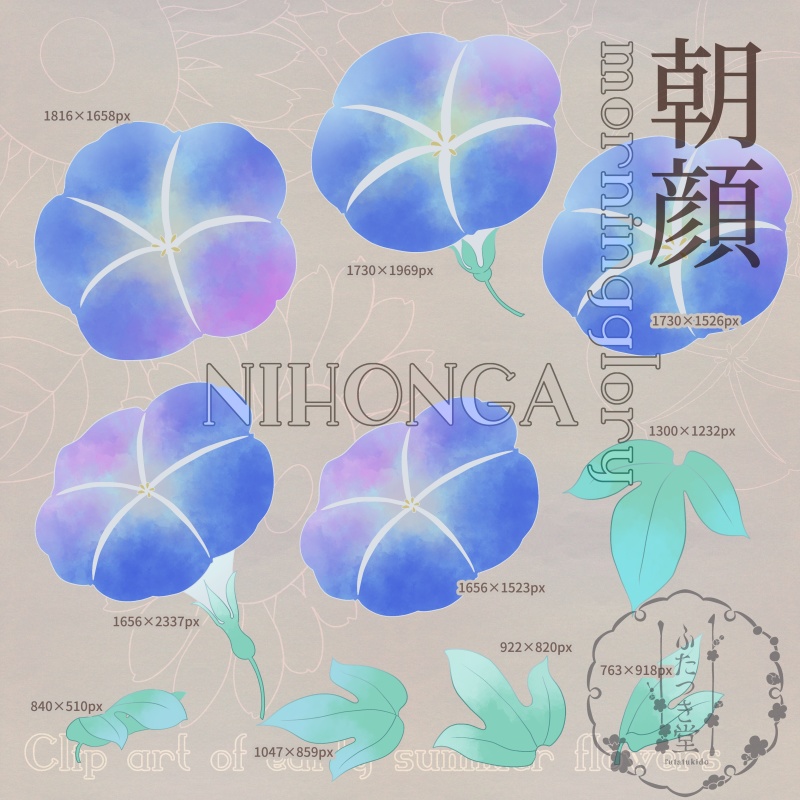 初夏の花カットイラスト