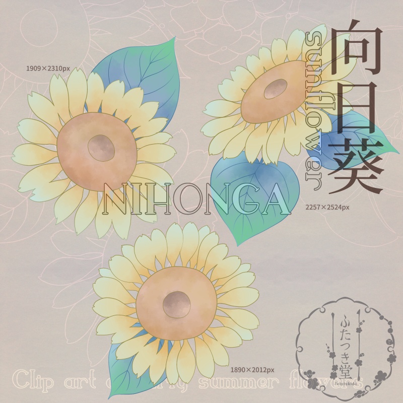 初夏の花カットイラスト