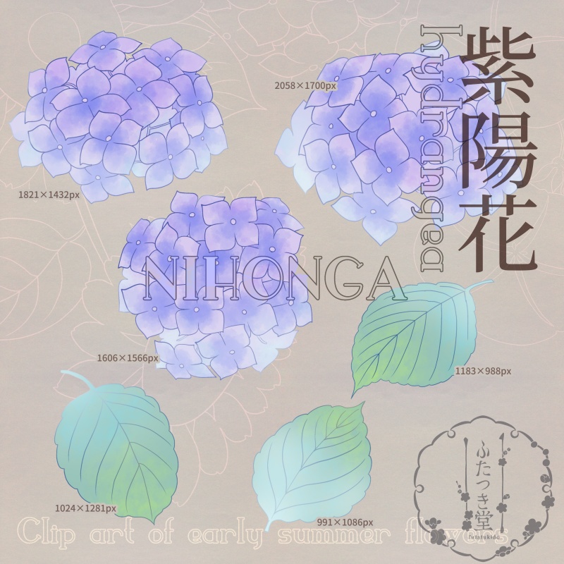 初夏の花カットイラスト