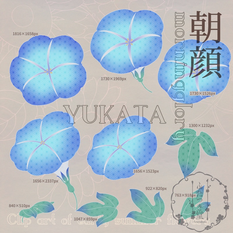 初夏の花カットイラスト