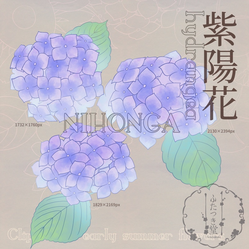 初夏の花カットイラスト