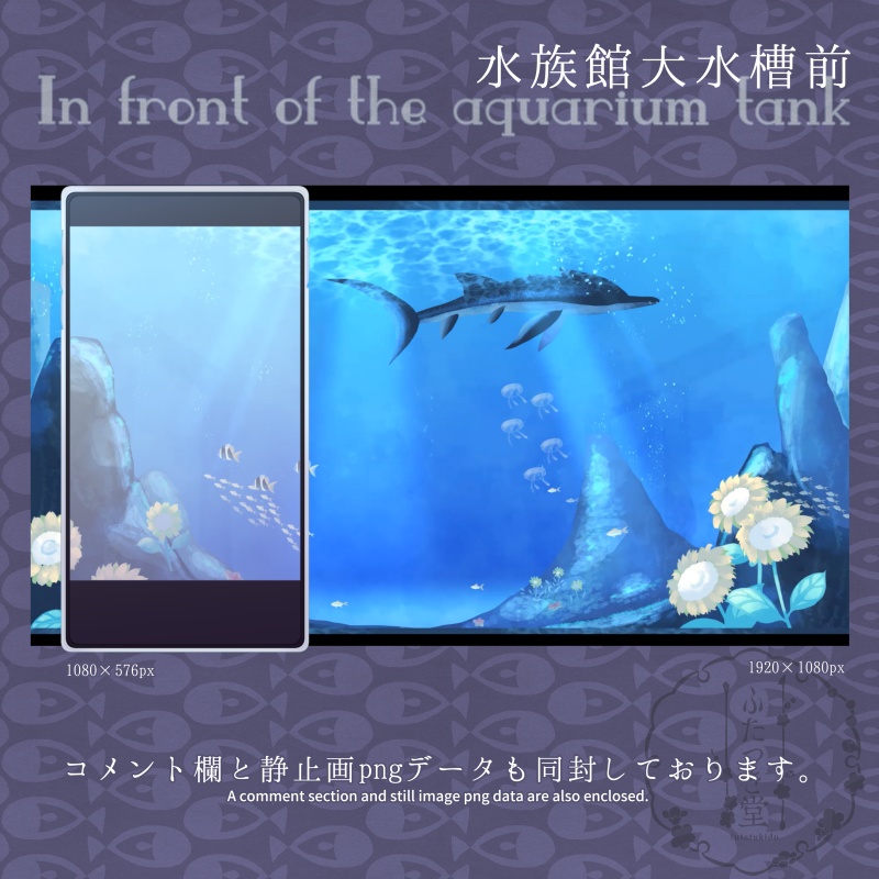 配信素材 水族館大水槽前