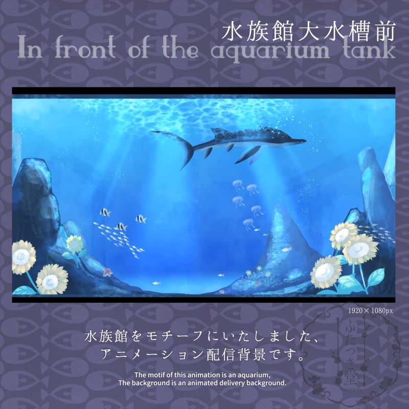 配信素材 水族館大水槽前