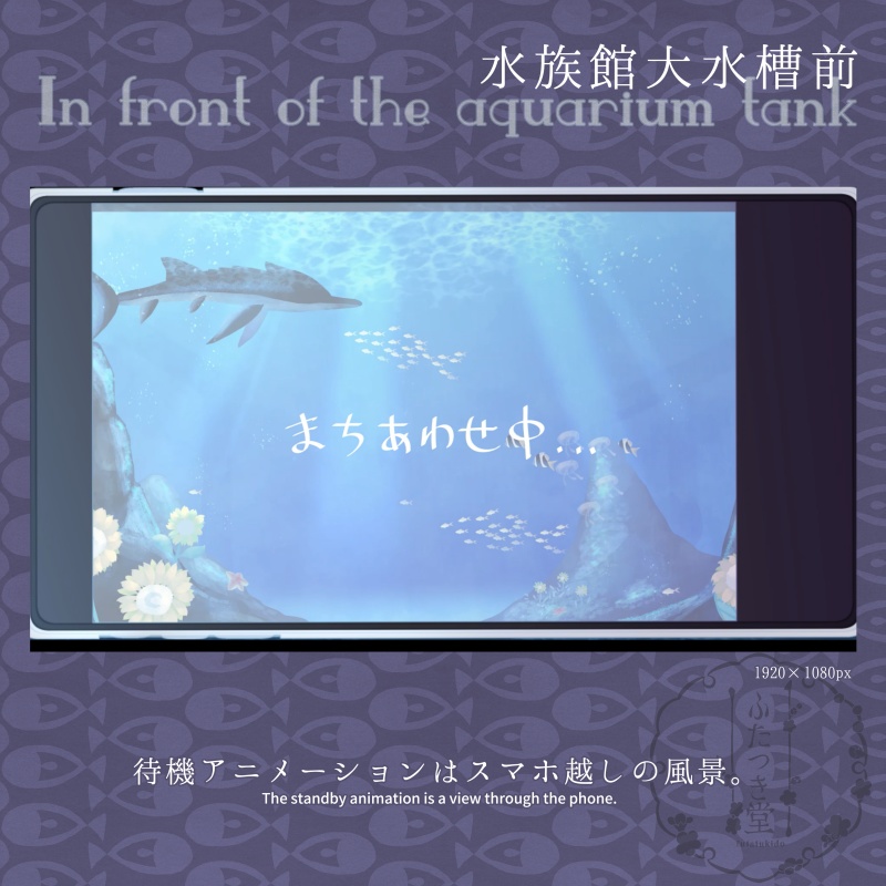 配信素材 水族館大水槽前