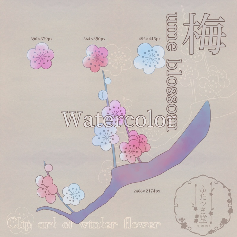 冬の花カットイラスト