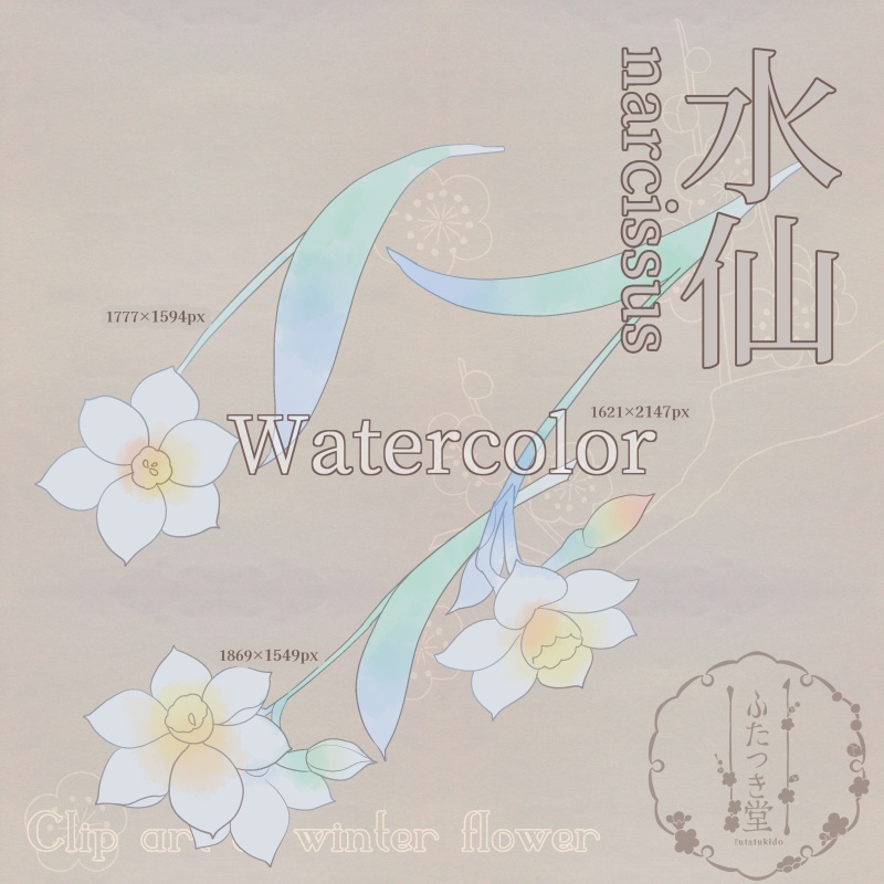 冬の花カットイラスト