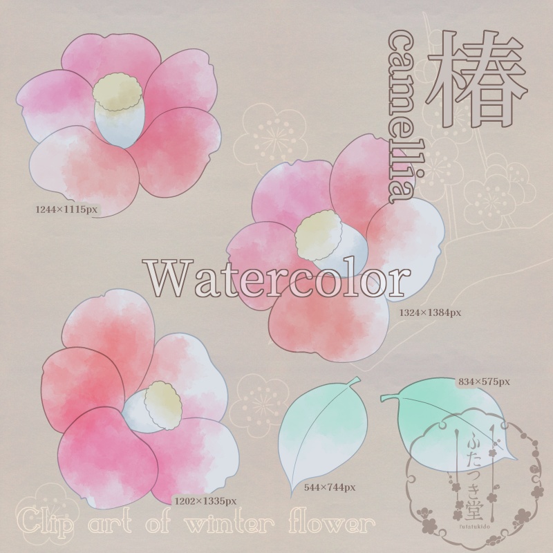 冬の花カットイラスト