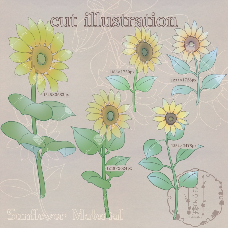 向日葵素材