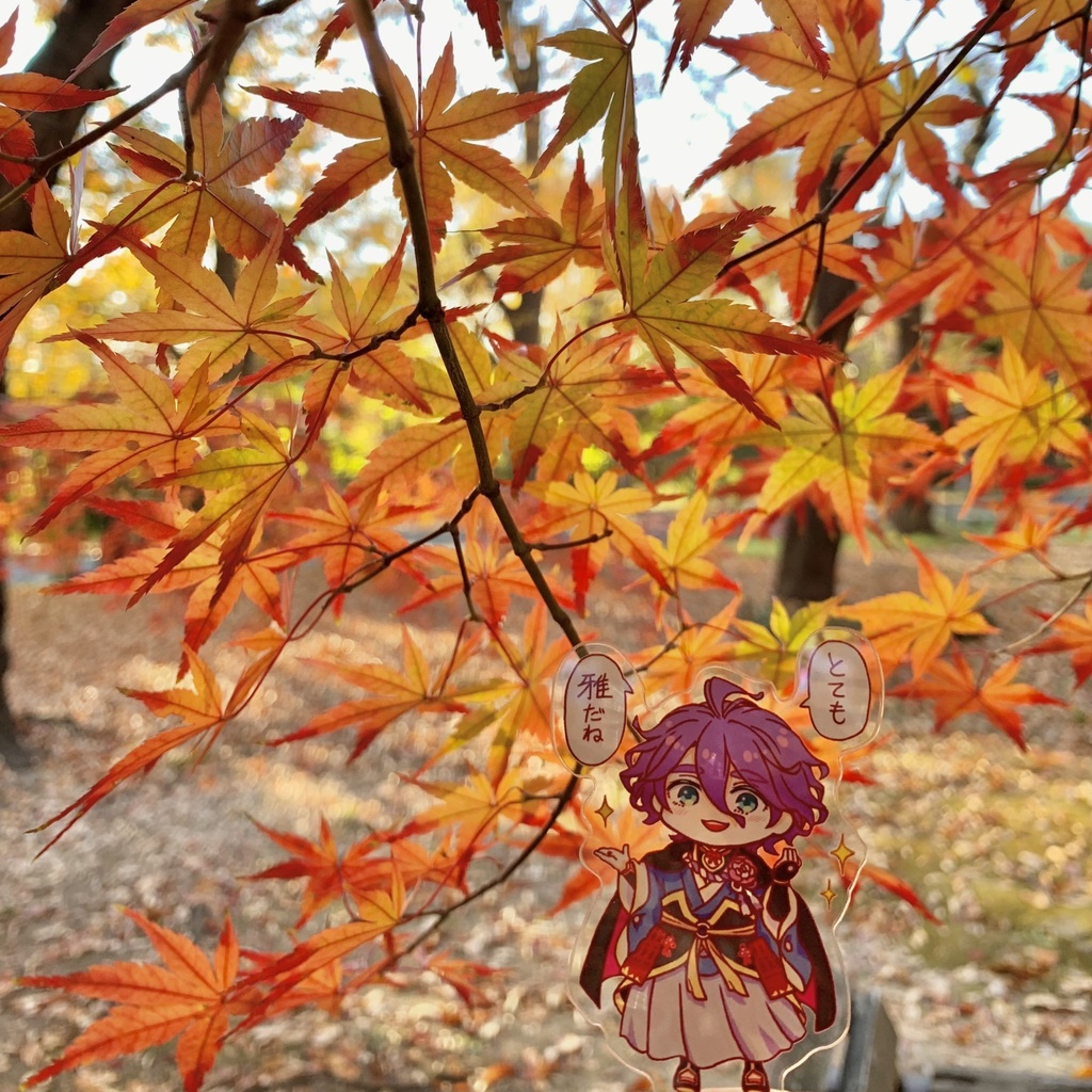 カセンチャンアクスタ