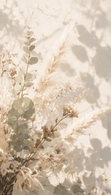 花と幻想の風景イラスト集|10枚セット|淡色・透明感