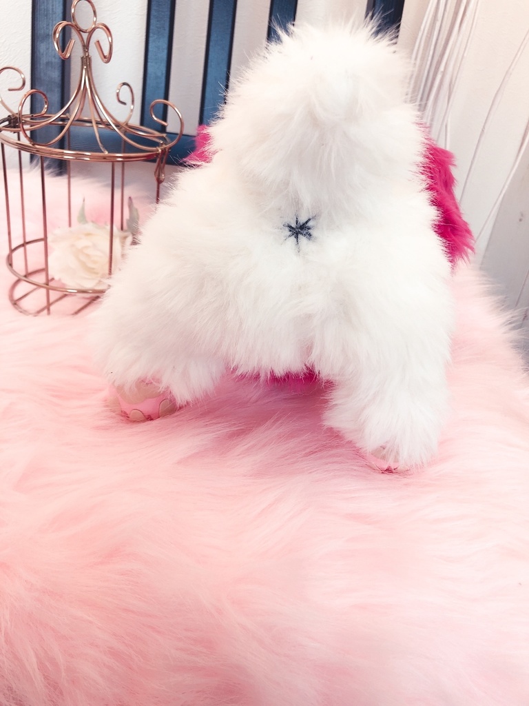 『べリーベリー』