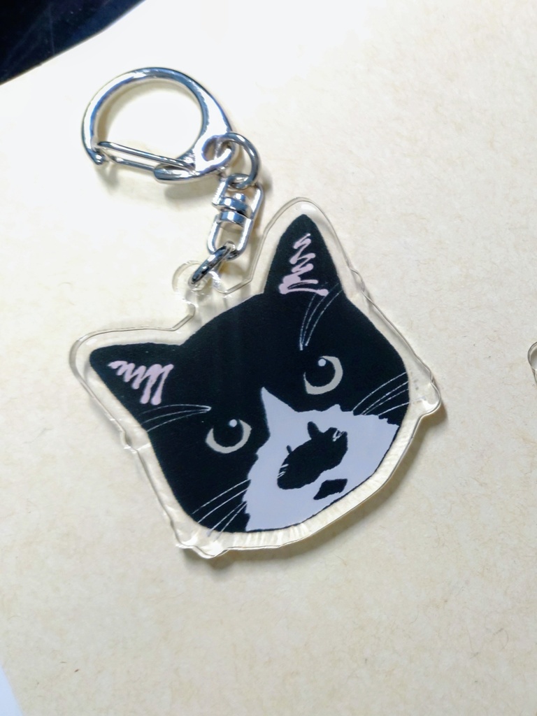 実家の猫アクキー(にゃー)