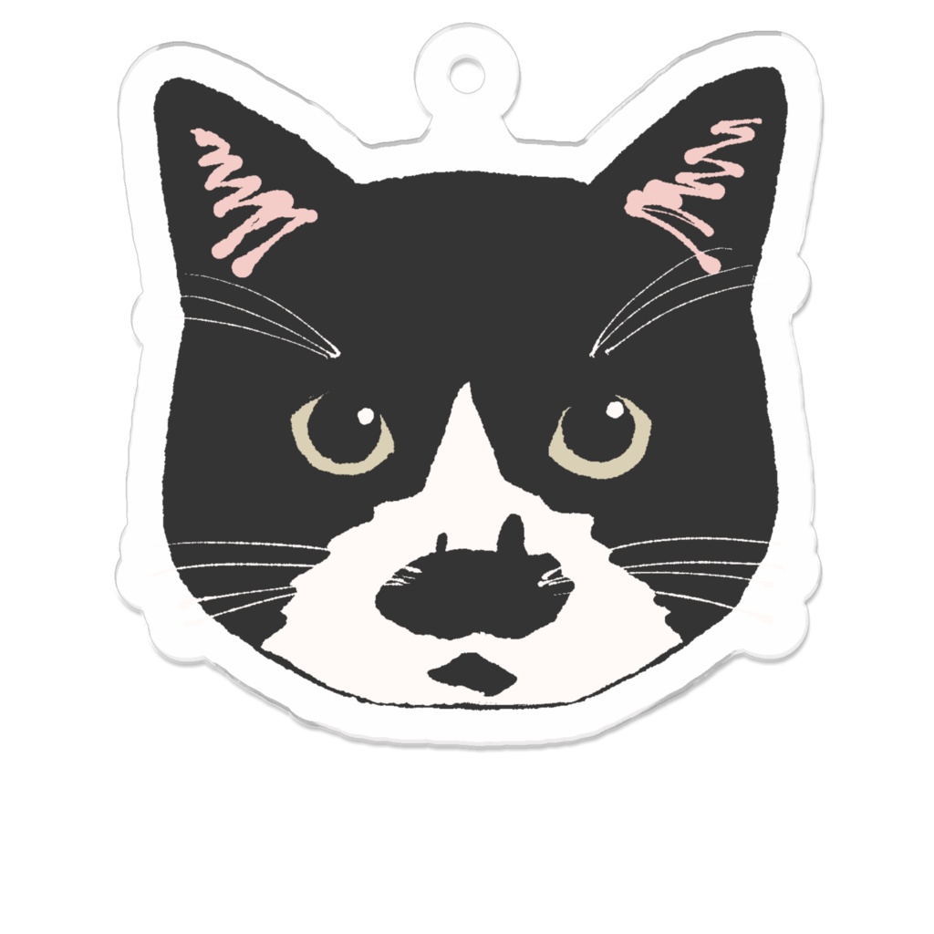 実家の猫アクキー(にゃー)