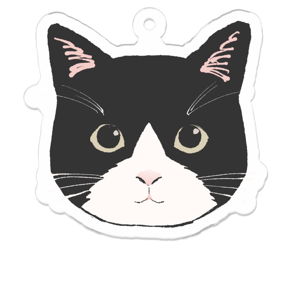 実家の猫アクキー(こにゃー)