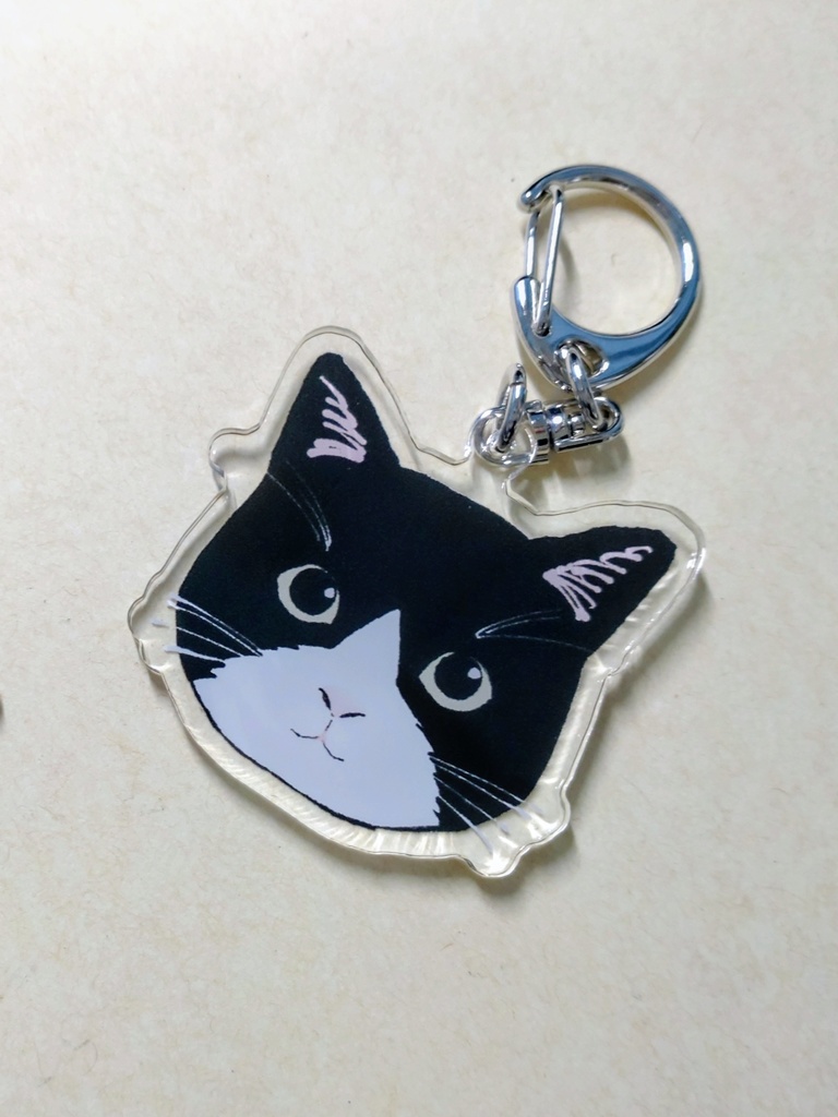 実家の猫アクキー(こにゃー)