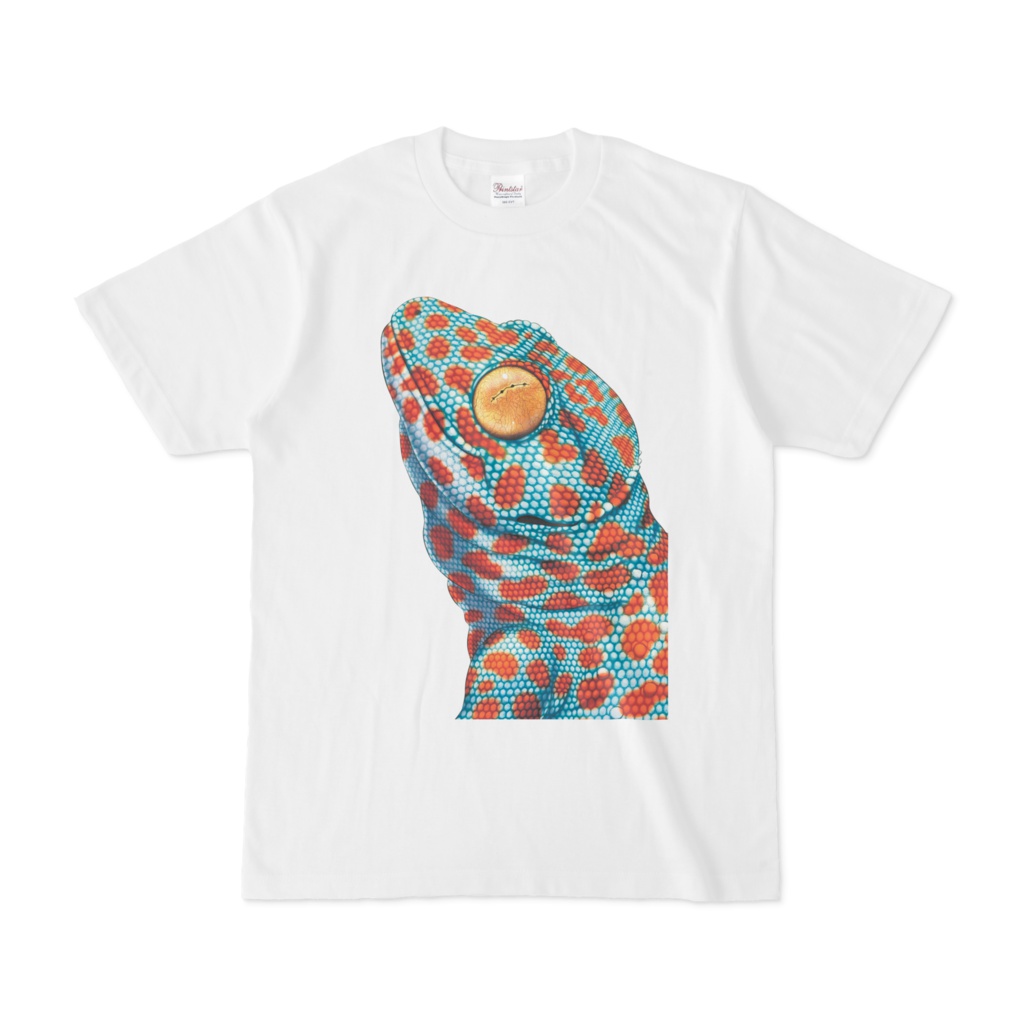 トッケイ白Tシャツ