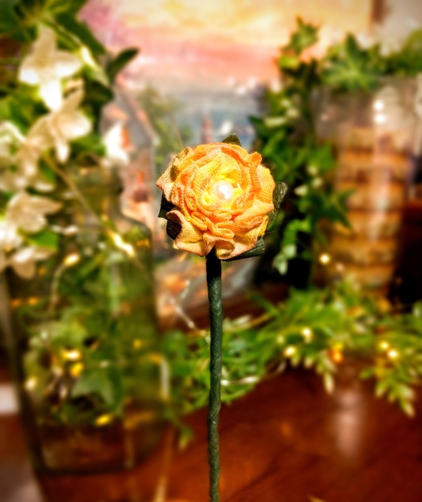 ✿ テディうさぎ * Gina * ハンドメイドBOX付き ✿