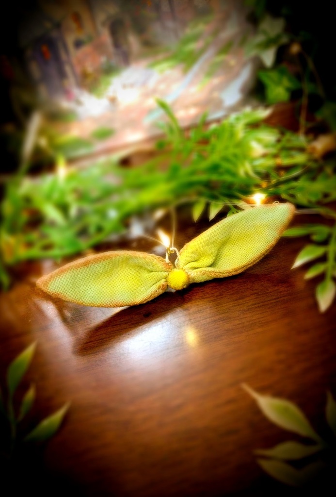 ✿ テディうさぎ * Gina * ハンドメイドBOX付き ✿