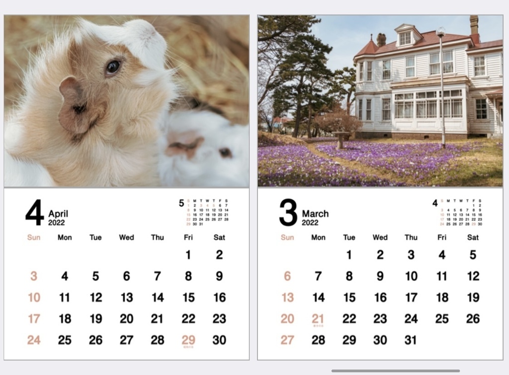 2022年 オリジナルカレンダー