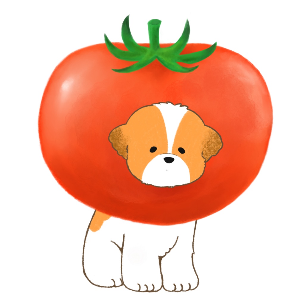 夏野菜シーズー