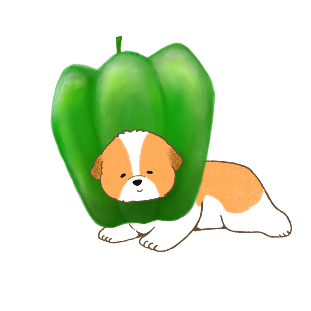 夏野菜シーズー