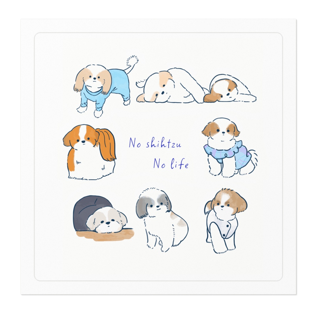 No shihtzu No life !!!