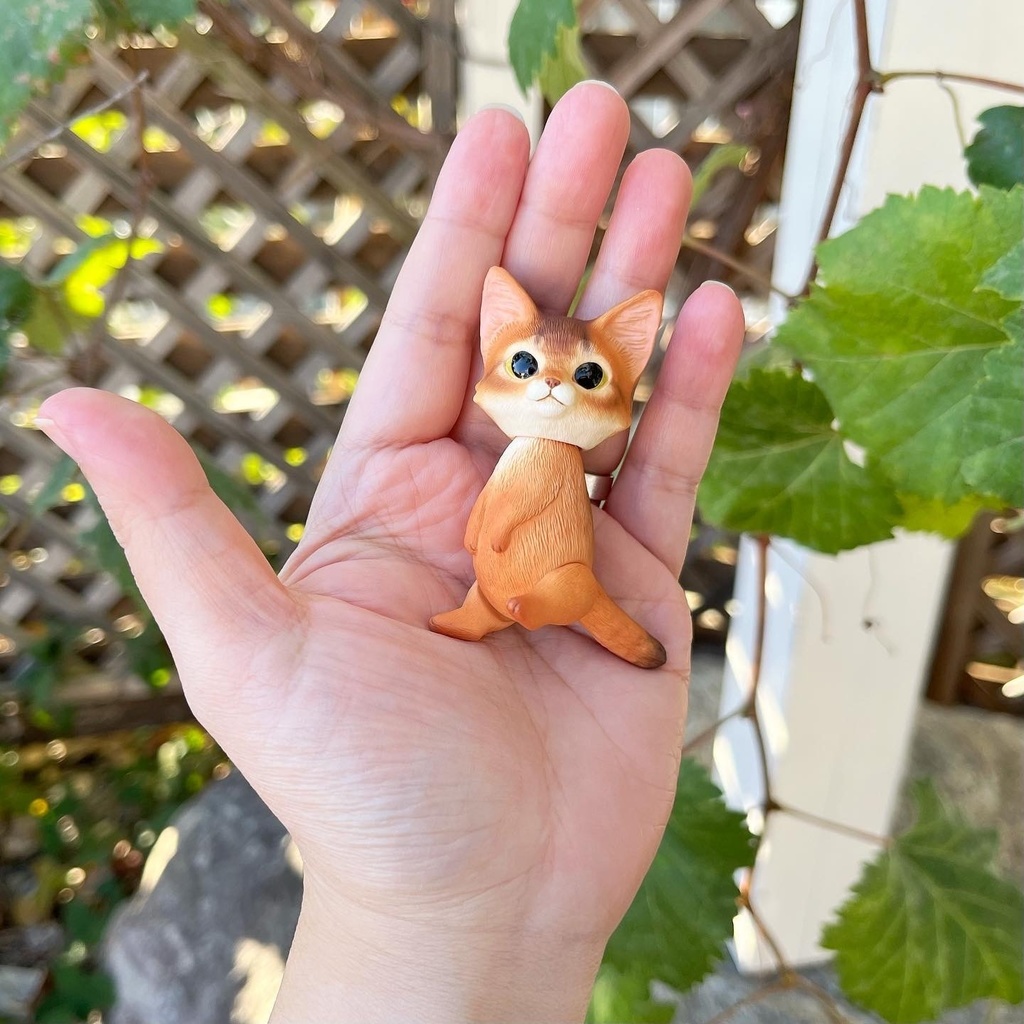 ネコのドール*ソマリルディ