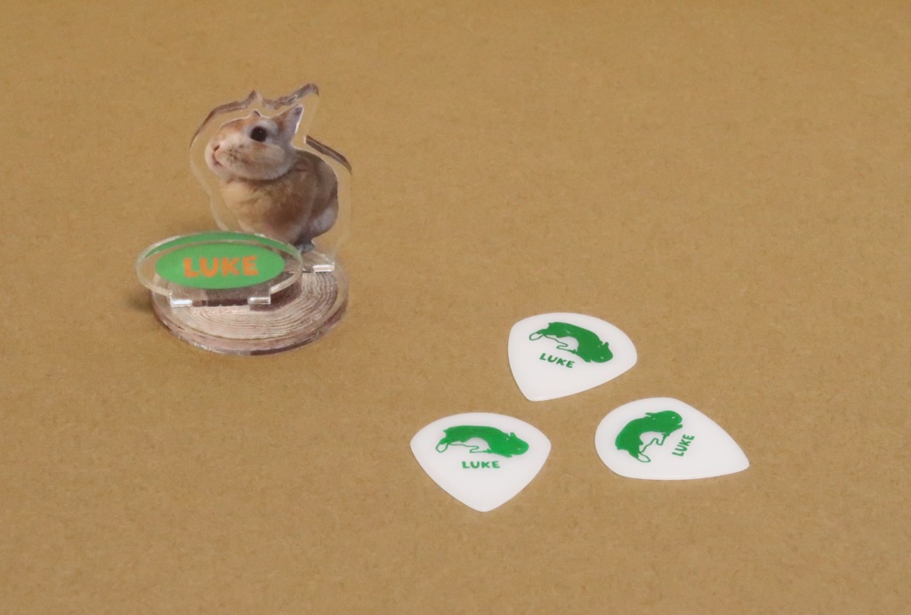 うさぎのルークピック(3枚セット)