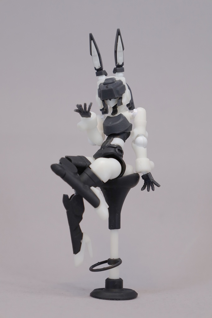 エンボディフレーム「虚主-レプス-」 組み立てカラーキット【武器セット同梱】