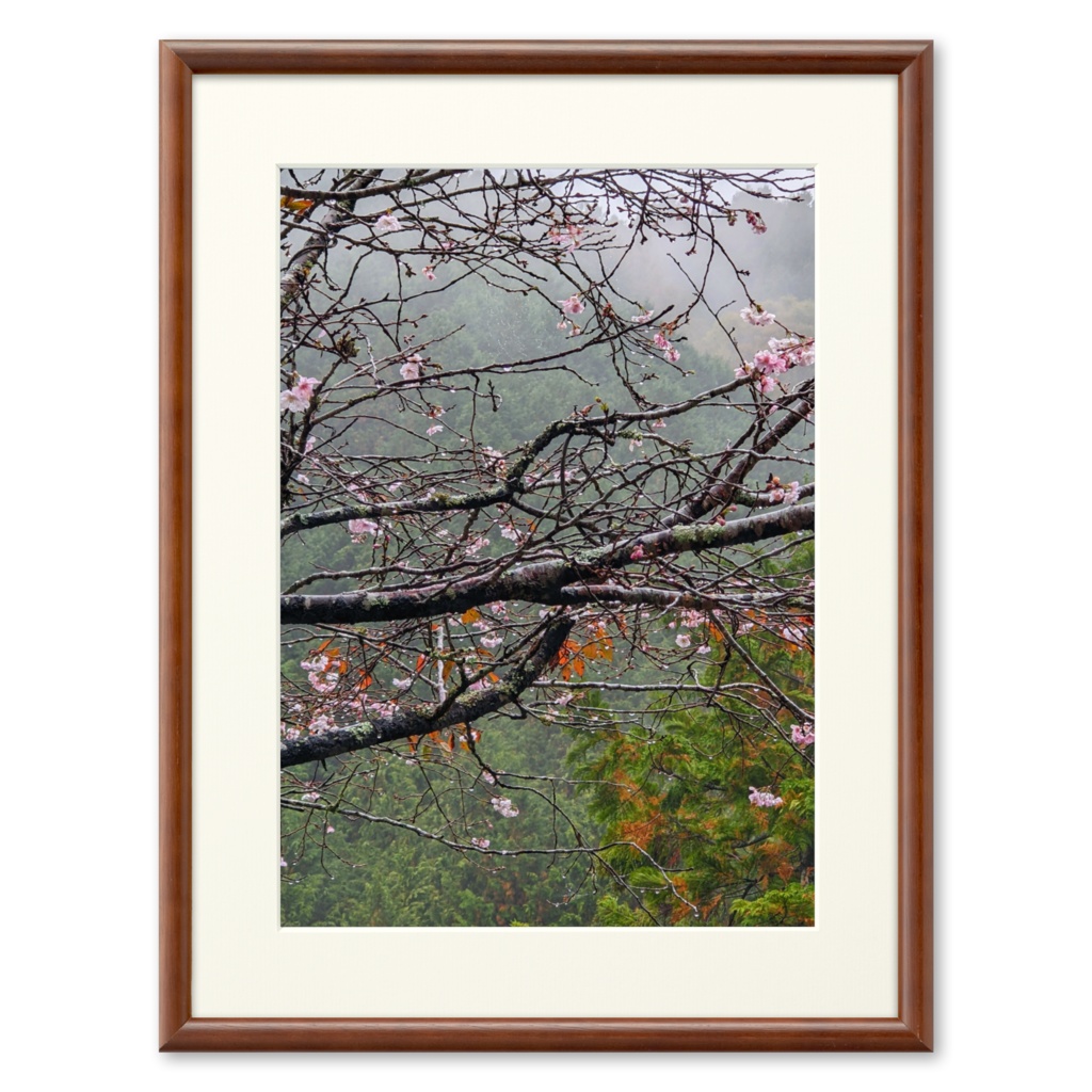 フォトアート