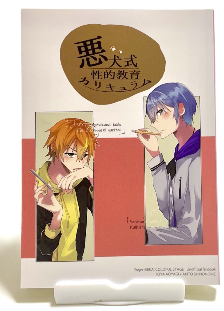 悪犬式性的教育カリキュラム