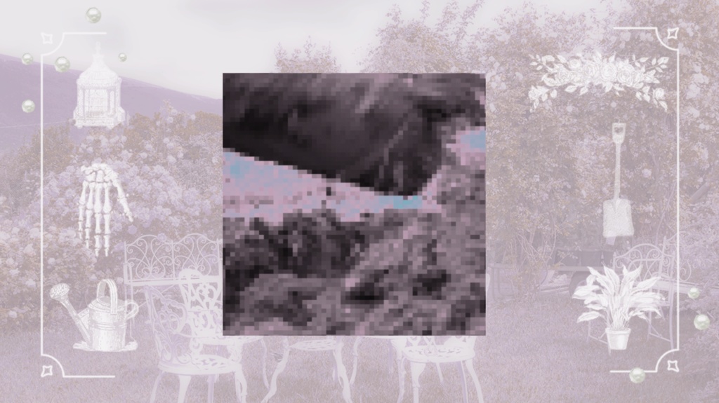 薔薇園に骸を埋める