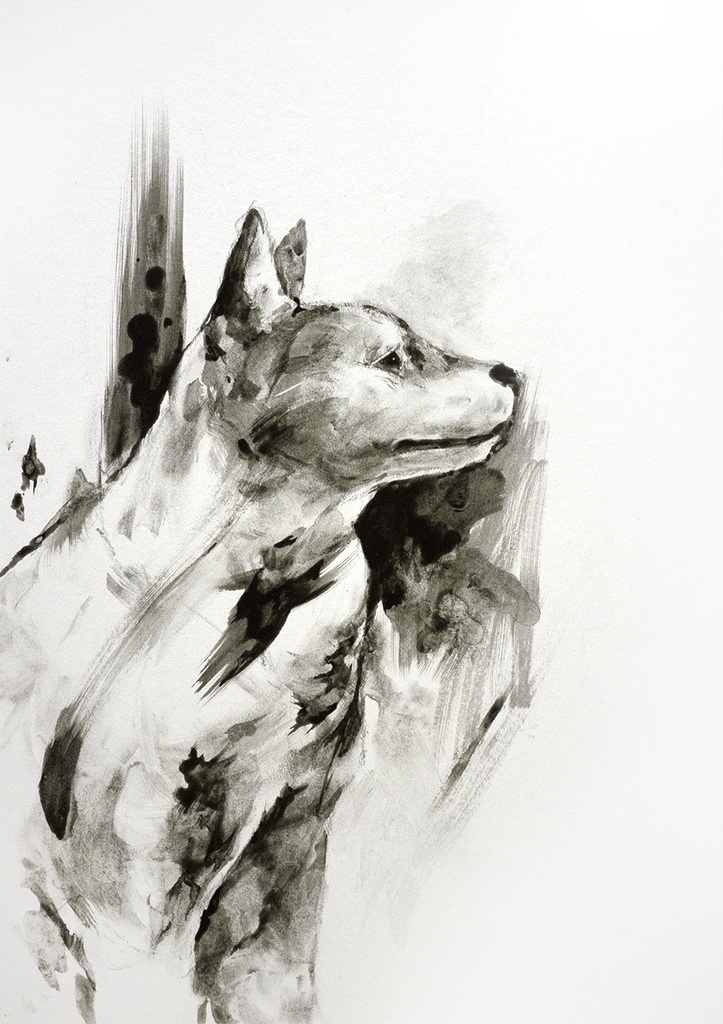 犬　〇原画