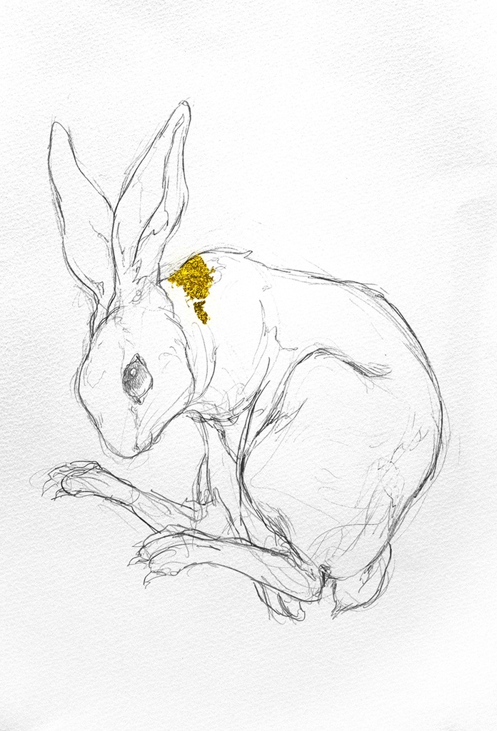 rabbit　〇原画