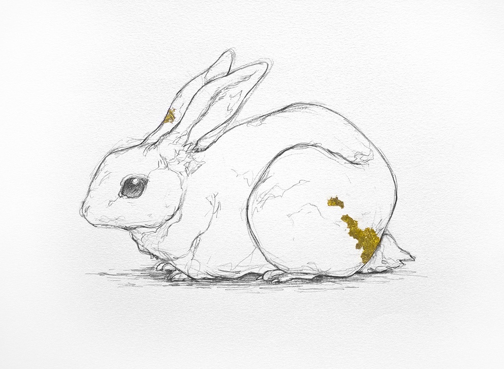rabbit2　〇原画