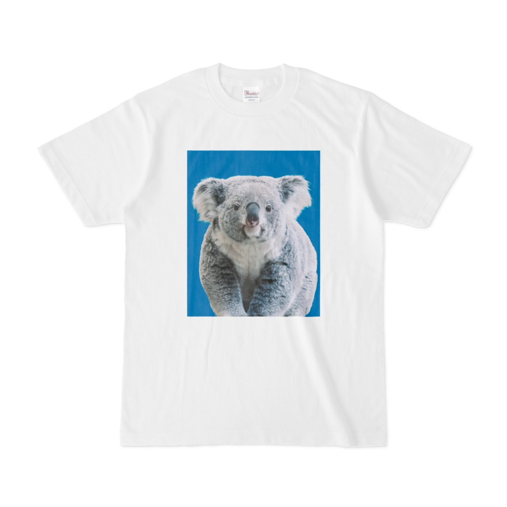 コアラの証明写真Tシャツ【通常納期】