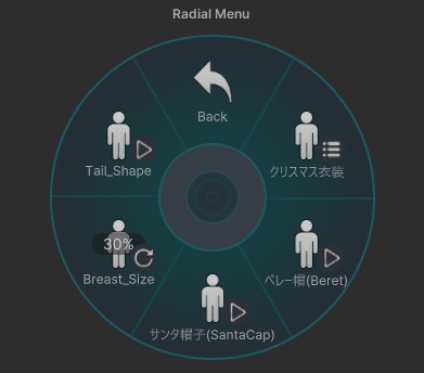 【しなの専用】ChristmasCostume2024