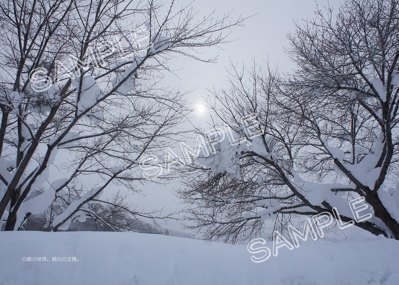 【通販休止中】只見駅、午前6時。