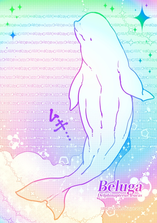 創作便箋【ベルーガ】