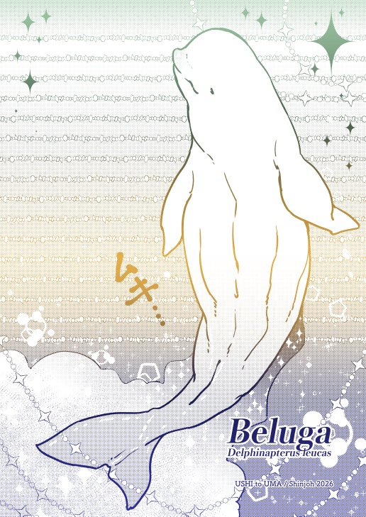 創作便箋【ベルーガ】