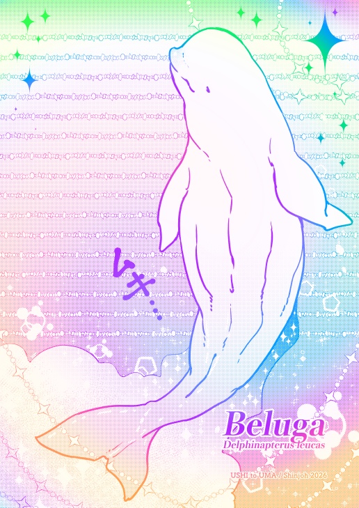 創作便箋【ベルーガ】