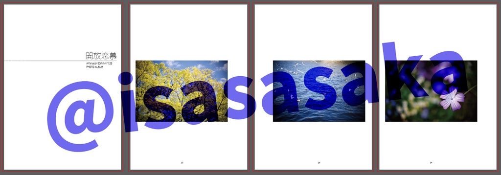 開放恋慕/AI Nikkor 50mm f/1.2S絞り開放写真集