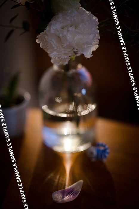 ※再版準備中※開放恋慕Z/Z 50mm f/1.2 S絞り開放写真集