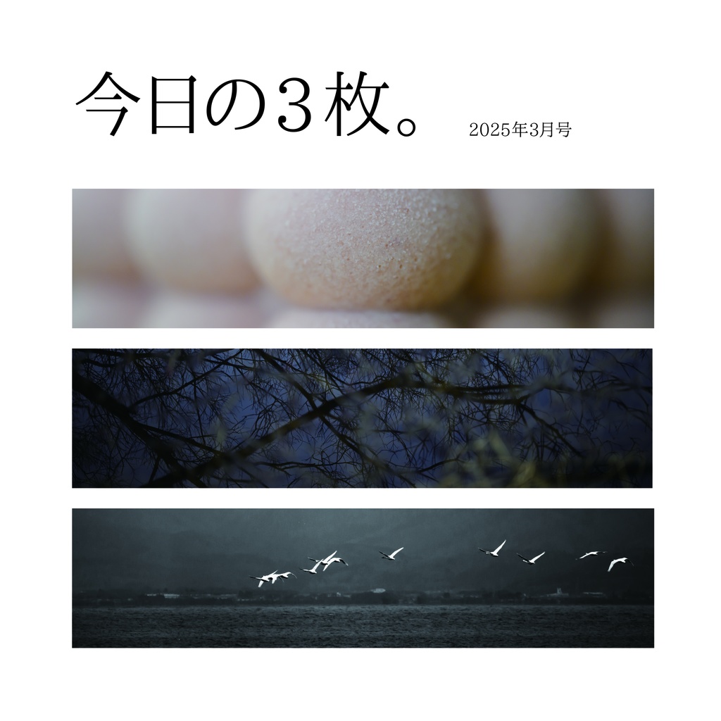 今日の3枚。2025年3月号