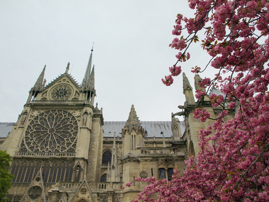 フランス共和国 風景写真画像 フリー素材