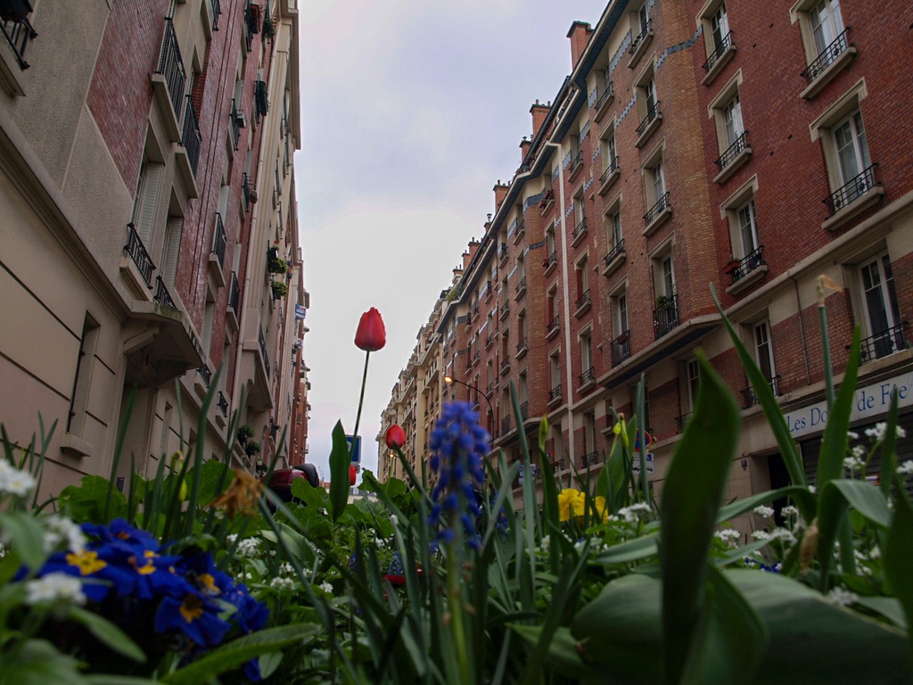 フランス共和国 風景写真画像 フリー素材