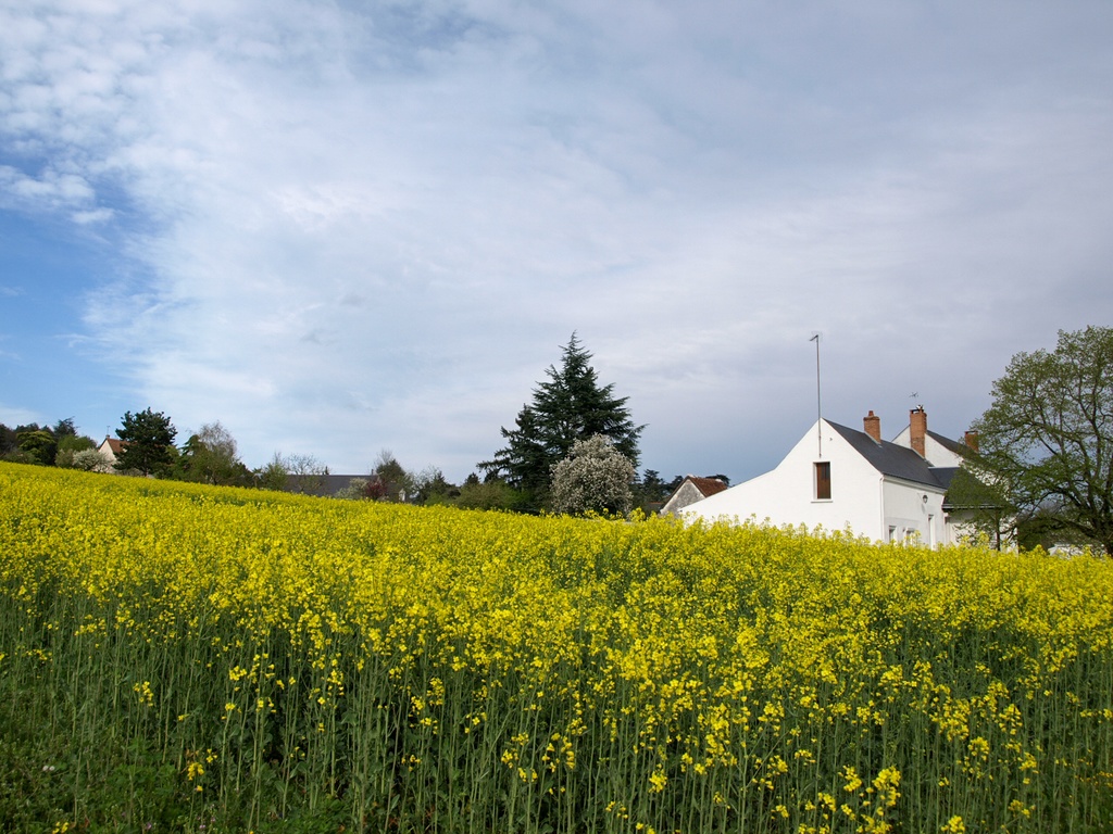 フランス共和国 風景写真画像 フリー素材