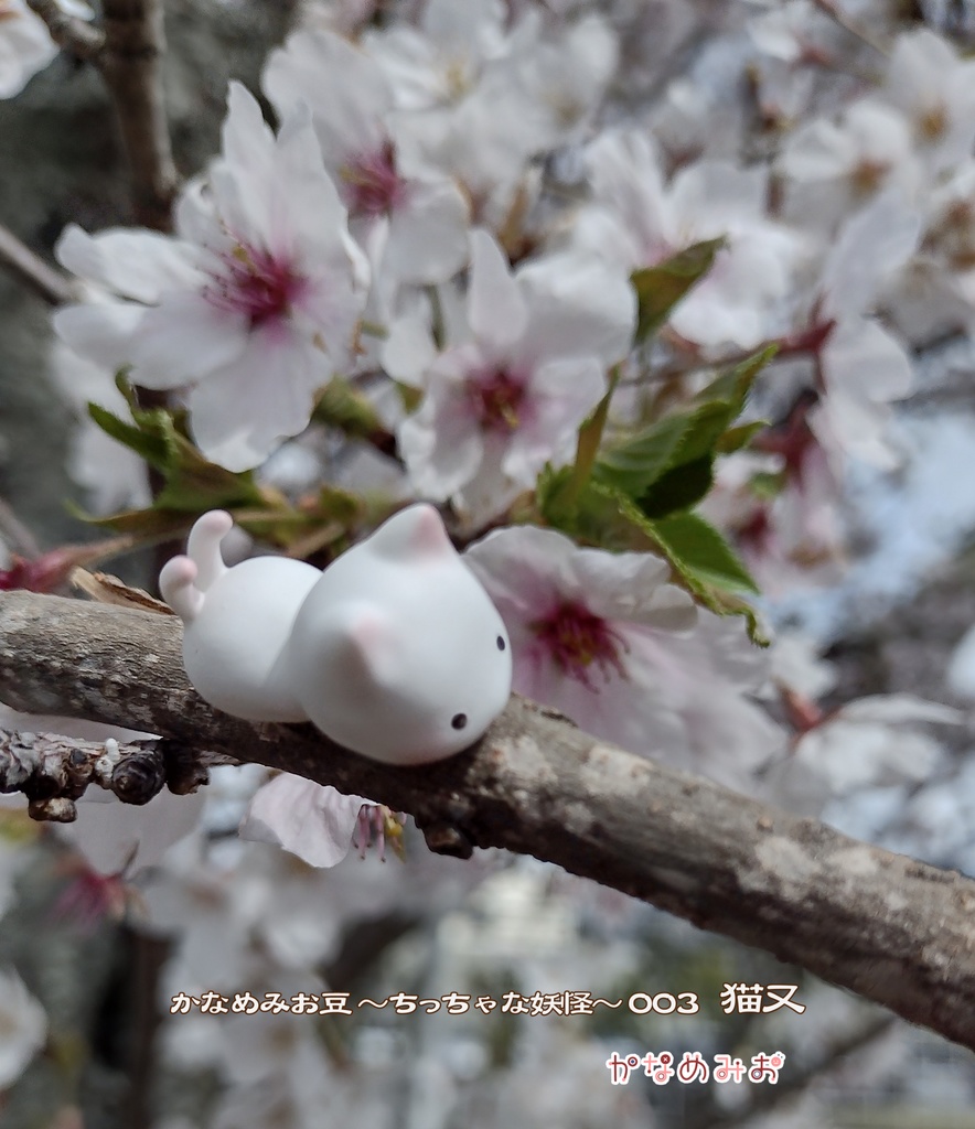 猫又 (かなめみお豆~ちっちゃな妖怪~003)